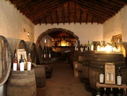 Museo Agricolo El Patio - Lanzarote