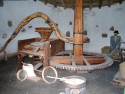 Museo Agricolo El Patio - Lanzarote