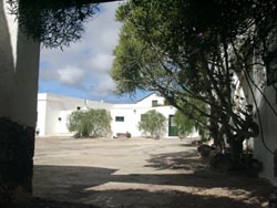 Museo Agricolo El Patio - Lanzarote