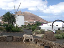 Museo Agricolo El Patio - Lanzarote