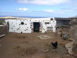 Museo Agricolo El Patio - Lanzarote