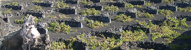 Lanzarote - Insel der Gegensätze