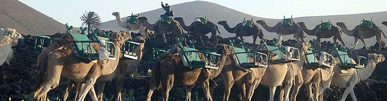 Lanzarote - Insel der Gegensätze